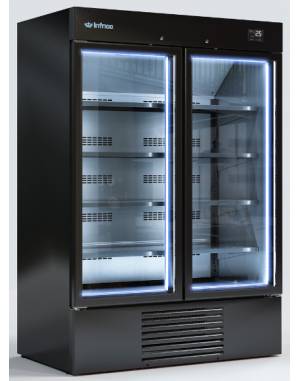 Vitrine 2 portes surgelé