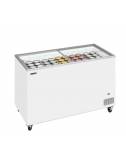 Congélateur IC301SC