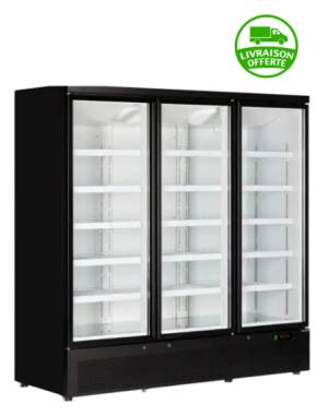 Vitrine surgelée F3DB